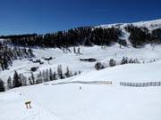 Pistes tussen Grosseck en Speiereck