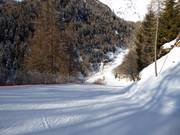 Dalafdaling Tarlenta