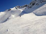 Afdaling B-Russi-Run vanaf de Gemsstock