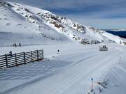 Oefenweide Baby 1 (Kellaria 1950)