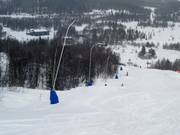 Lanzenbesneeuwing in Raudalen