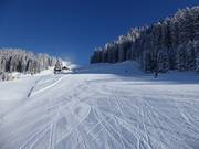 Brede, lichte piste bij de bovenste Almkopf