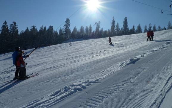 Hoogste skigebied in het Murgtal – skigebied Kaltenbronn