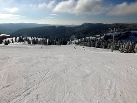 Skigebieden voor beginners in het zuiden van het Zwarte Woud – Beginners Feldberg – Seebuck/Grafenmatt/Fahl