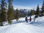 Uitgekapte bosafdaling Wolf's Den