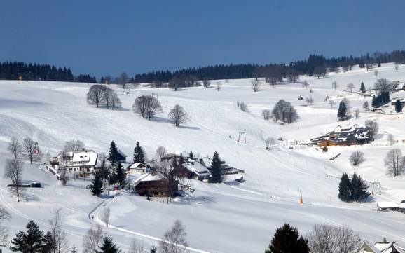 Skiën bij Oberried (Breisgau)