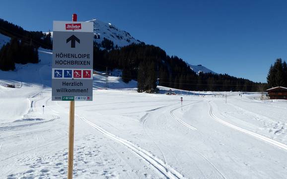 Langlaufen vakantieregio Hohe Salve – Langlaufen SkiWelt Wilder Kaiser-Brixental