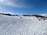 Gemakkelijke piste Woodrun