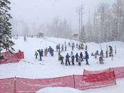 Tip voor de kleintjes 