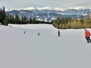 Blauwe piste bij de Märchenlift