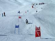 Wedstrijden voor kinderen in het hooggelegen skigebied, georganiseerd door de skischool 