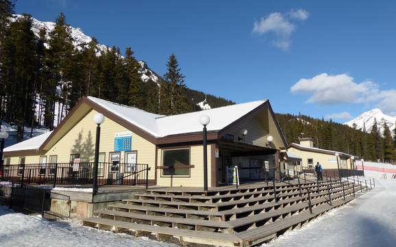 Sawback Range: netheid van de skigebieden – Netheid Mt. Norquay – Banff