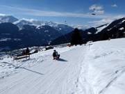 Tip voor de kleintjes 