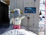 Tip voor de kleintjes 