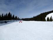 Makkelijke Barnebakken