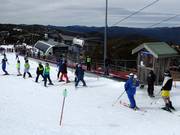 Bourke Street Carpet - Transportband