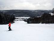 De skipiste vanaf het bergstation