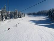 De brede FIS-afdaling