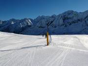 Perfecte sneeuwkanonnen