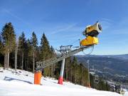 Uitgebreide besneeuwing op de Arber