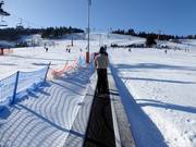 De transportband Bartuś is ideaal voor beginners.