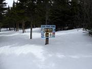 Leuke bosafdaling voor kinderen