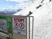 Bos-wildreservaat bij het bergstation