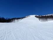 Moeilijke piste Ølkorken nr. 11 (Gullsteinhovda)