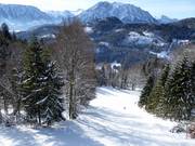 Uitzicht vanuit de gondelbaan op de FIS-afdaling