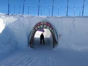 Tip voor de kleintjes 