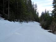 Gemakkelijke bosafdaling