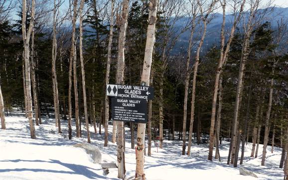 Skigebieden voor gevorderden en off-piste skiërs The Adirondacks – Gevorderden, off-piste skiërs Whiteface – Lake Placid