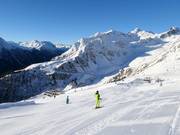 Alblitt Diasafdaling