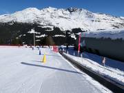 Plaghera - Transportband/Moving Carpet