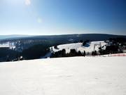 Veel ruimte op de Postwiese