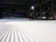 Vers vers geprepareerd beginnersgebied