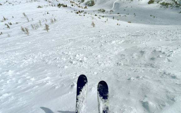 Skigebieden voor gevorderden en off-piste skiërs Clark Range – Gevorderden, off-piste skiërs Castle Mountain