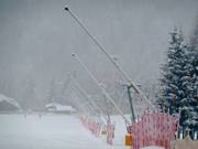 Sneeuwlansen in San Vito di Cadore