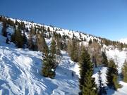 Freeride-/diepsneeuwgebieden op de Monte Agaro