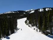 Typische bosrijke skipistes in Breckenridge