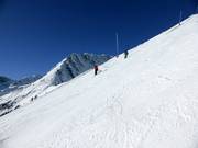 Zwarte Almstüberlabfahrt