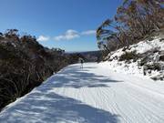 Piste Mother Johnson's Return