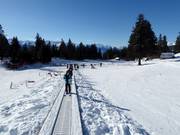 Oefenweide Arnouva met transportband