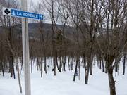 Uitgekapte bosafdaling La Boréale