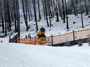 Besneeuwde dalafdaling