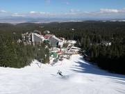 Zwarte piste Cherveno zname