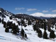 Accommodaties in de bossen aan de pistes