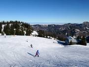 Gemakkelijke Alm-afdaling