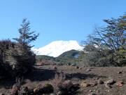 Uitzicht op Mt. Ruapehu