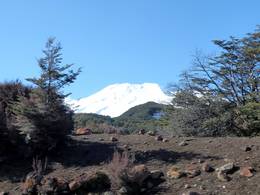 Tūroa – Mt. Ruapehu